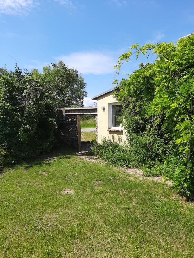 Ferienwohnung In Welzin Damshagen エクステリア 写真